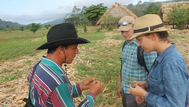 prive-gids-vallei-viñales