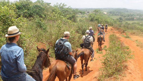 rondleiding-vallei-viñales-paarden