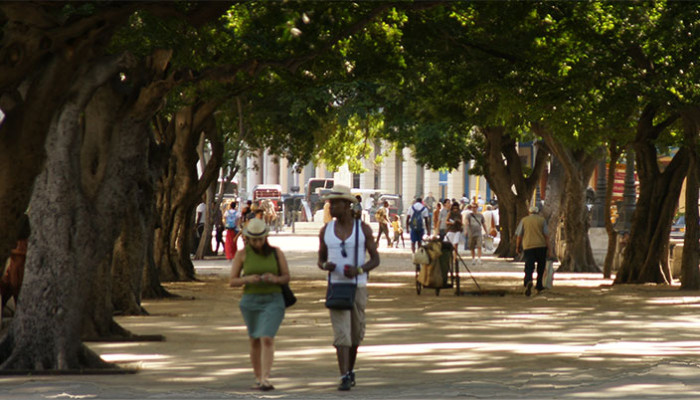 Prada-wandelboulevard-havana