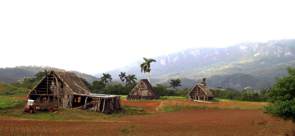 tabak-schuurtjes-pinar-del-rio
