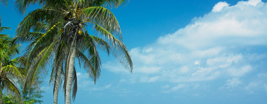 reisadvies-cuba-stranden
