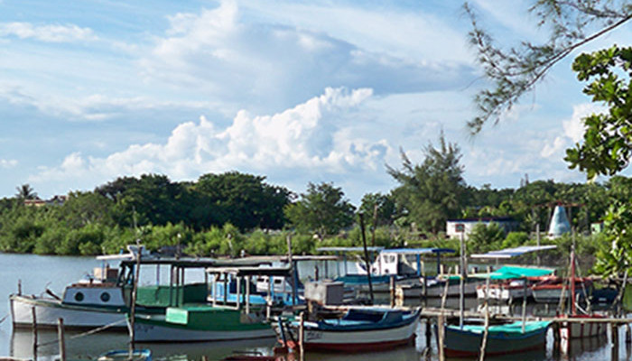 vissersbootjes-puerto-esperanza